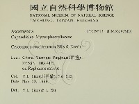 登錄號:F0019513藏品圖，第2張