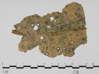 登錄號:F0019513藏品圖，第1張
