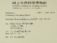 登錄號:F0019514藏品圖，第2張