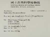 館號:F0019515藏品圖，第2張