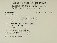 登錄號:F0019516藏品圖，第2張