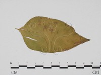 登錄號:F0019516藏品圖，第1張