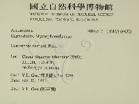 登錄號:F0019517藏品圖，第2張