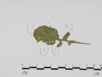 登錄號:F0019517藏品圖，第3張