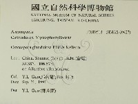 登錄號:F0019518藏品圖，第2張