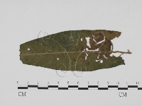 登錄號:F0019518藏品圖，第1張