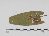 登錄號:F0019518藏品圖，第3張