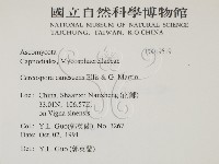 登錄號:F0019519藏品圖，第2張