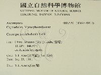 登錄號:F0019520藏品圖，第2張