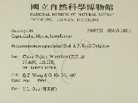登錄號:F0019522藏品圖，第2張