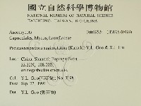 登錄號:F0019524藏品圖，第2張