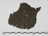 登錄號:F0019524藏品圖，第1張