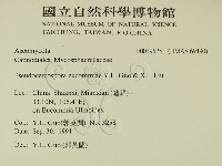 登錄號:F0019525藏品圖，第2張