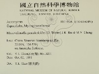 登錄號:F0019526藏品圖，第2張