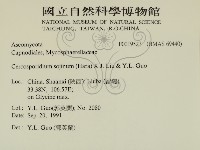登錄號:F0019527藏品圖，第2張