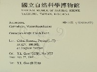 登錄號:F0019528藏品圖，第2張