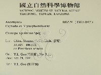 登錄號:F0019529藏品圖，第2張
