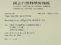 登錄號:F0019531藏品圖，第2張
