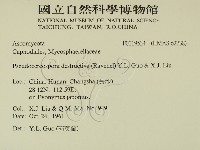 館號:F0019534藏品圖，第2張