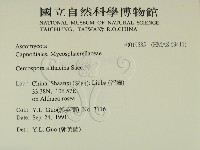 登錄號:F0019535藏品圖，第2張
