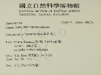 登錄號:F0019536藏品圖，第2張