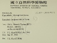 登錄號:F0019537藏品圖，第2張