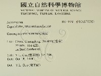 登錄號:F0019538藏品圖，第2張