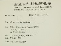 登錄號:F0019539藏品圖，第2張