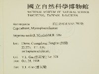 登錄號:F0019540藏品圖，第2張