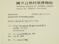 登錄號:F0019541藏品圖，第2張