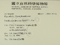 登錄號:F0019544藏品圖，第2張