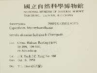 登錄號:F0019546藏品圖，第2張