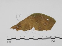 登錄號:F0019546藏品圖，第3張