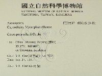 登錄號:F0019547藏品圖，第2張