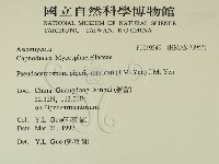 登錄號:F0019549藏品圖，第2張