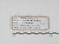 登錄號:F0019551藏品圖，第1張