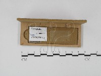 登錄號:F0019551藏品圖，第4張