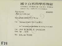 登錄號:F0019552藏品圖，第2張