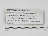 登錄號:F0019552藏品圖，第1張