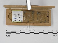登錄號:F0019552藏品圖，第4張