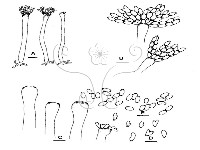 登錄號:F0019552藏品圖，第5張