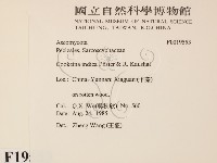 登錄號:F0019553藏品圖，第2張