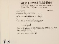 登錄號:F0019554藏品圖，第2張
