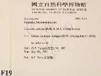 登錄號:F0019555藏品圖，第2張