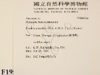 登錄號:F0019556藏品圖，第2張