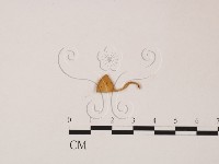 登錄號:F0019556藏品圖，第3張
