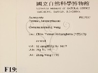 登錄號:F0019557藏品圖，第2張