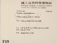登錄號:F0019558藏品圖，第2張