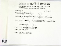 登錄號:F0019560藏品圖，第2張