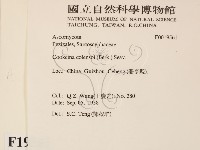 登錄號:F0019561藏品圖，第2張